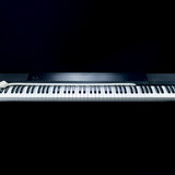 Keysnake 2