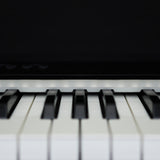 Keysnake 2